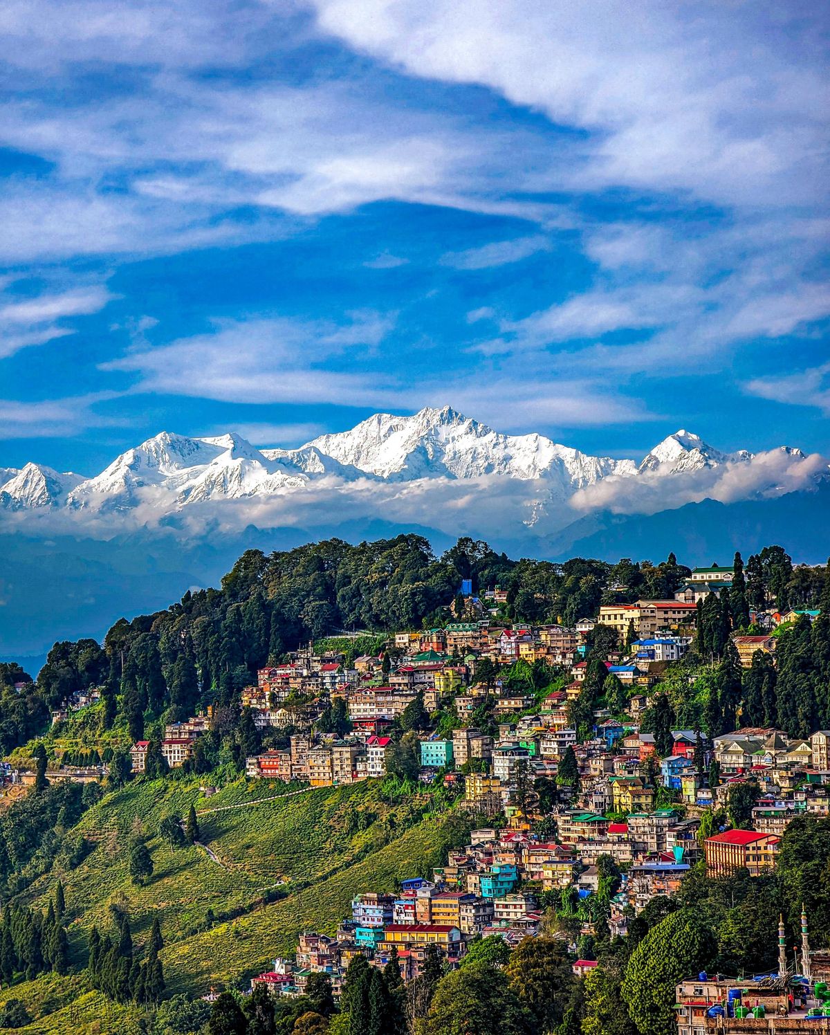 Darjeeling Tea Garden Retreat