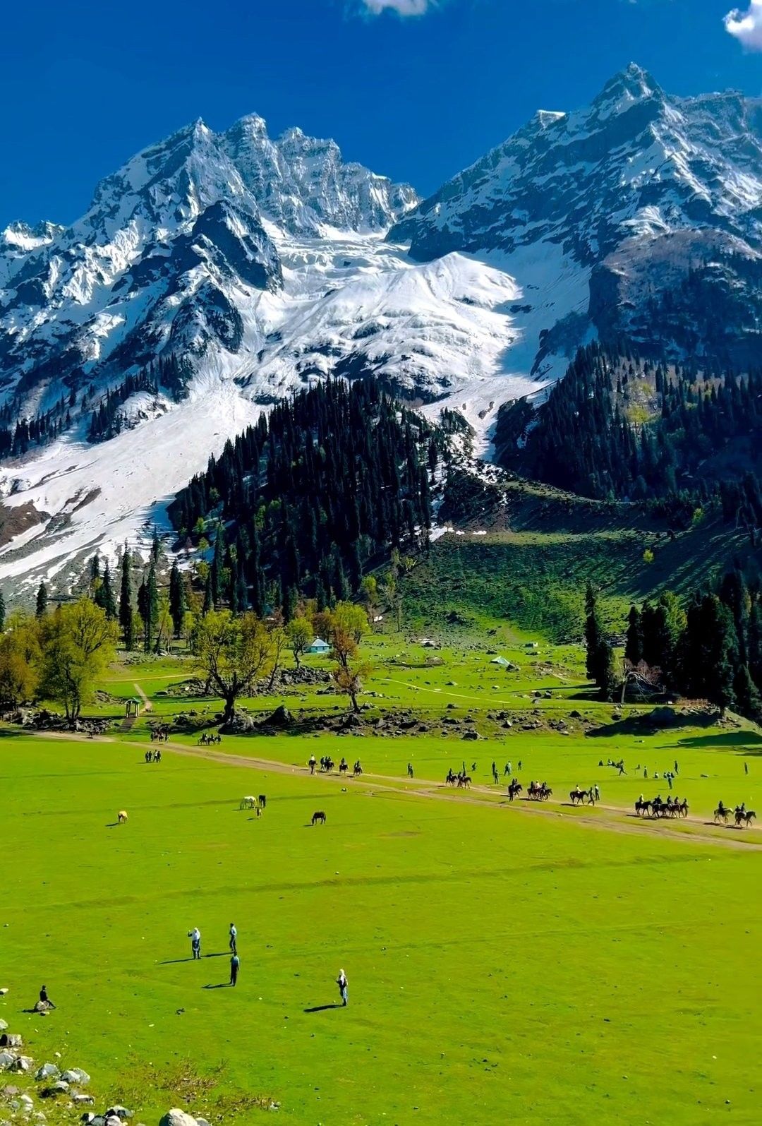 Kashmir Luxury Retreat